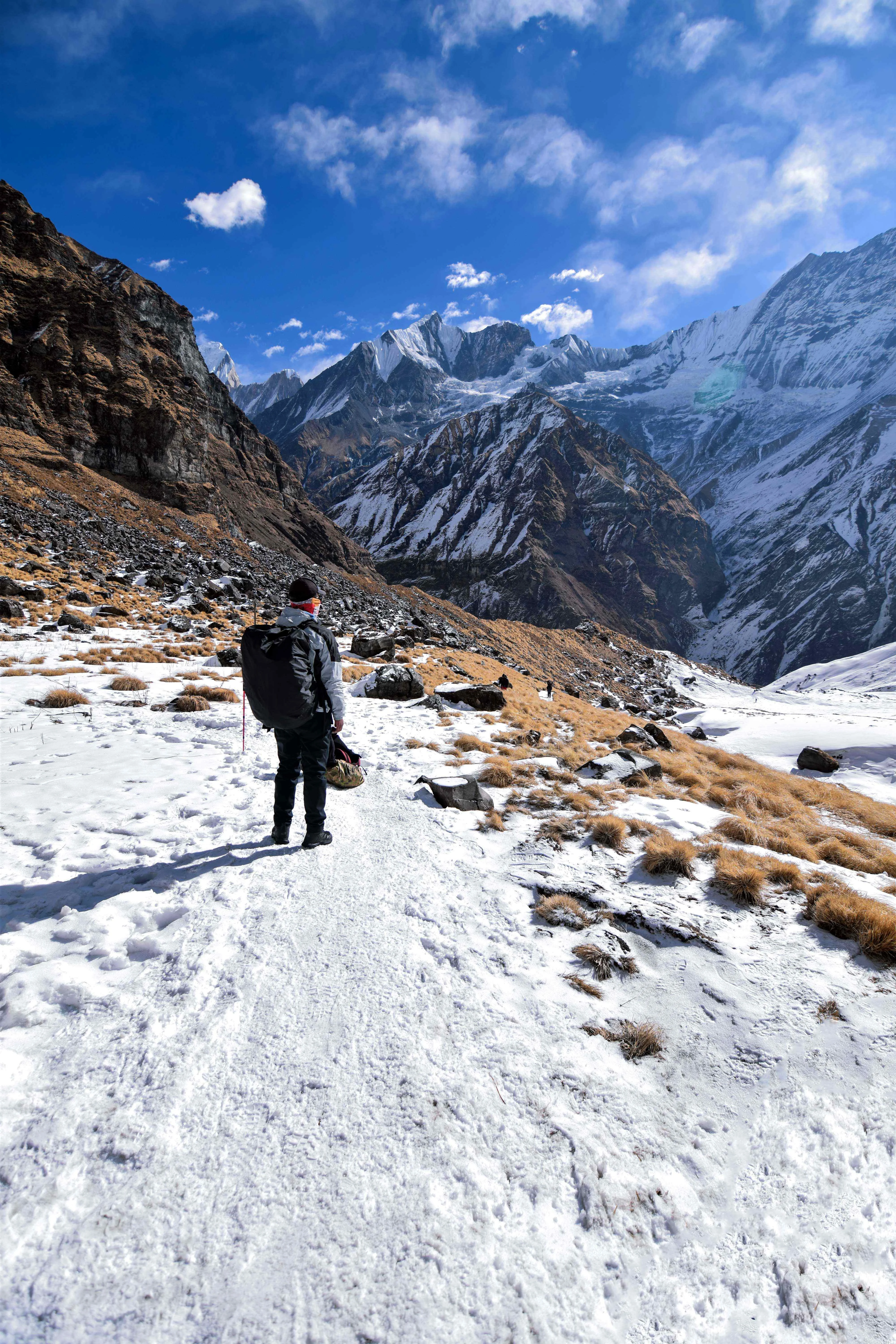 David Thapa